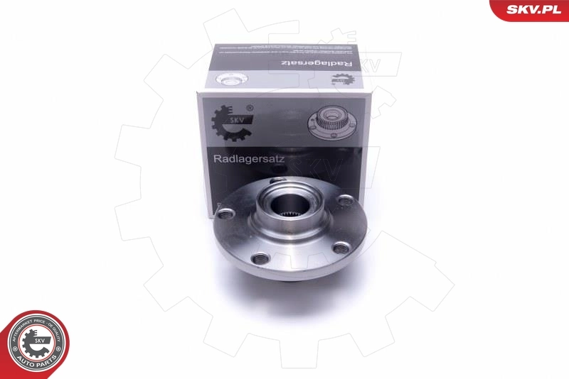 Wheel Bearing Kit